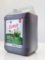 ANTISEPTIC DISINFECTANT 5L - Image 3